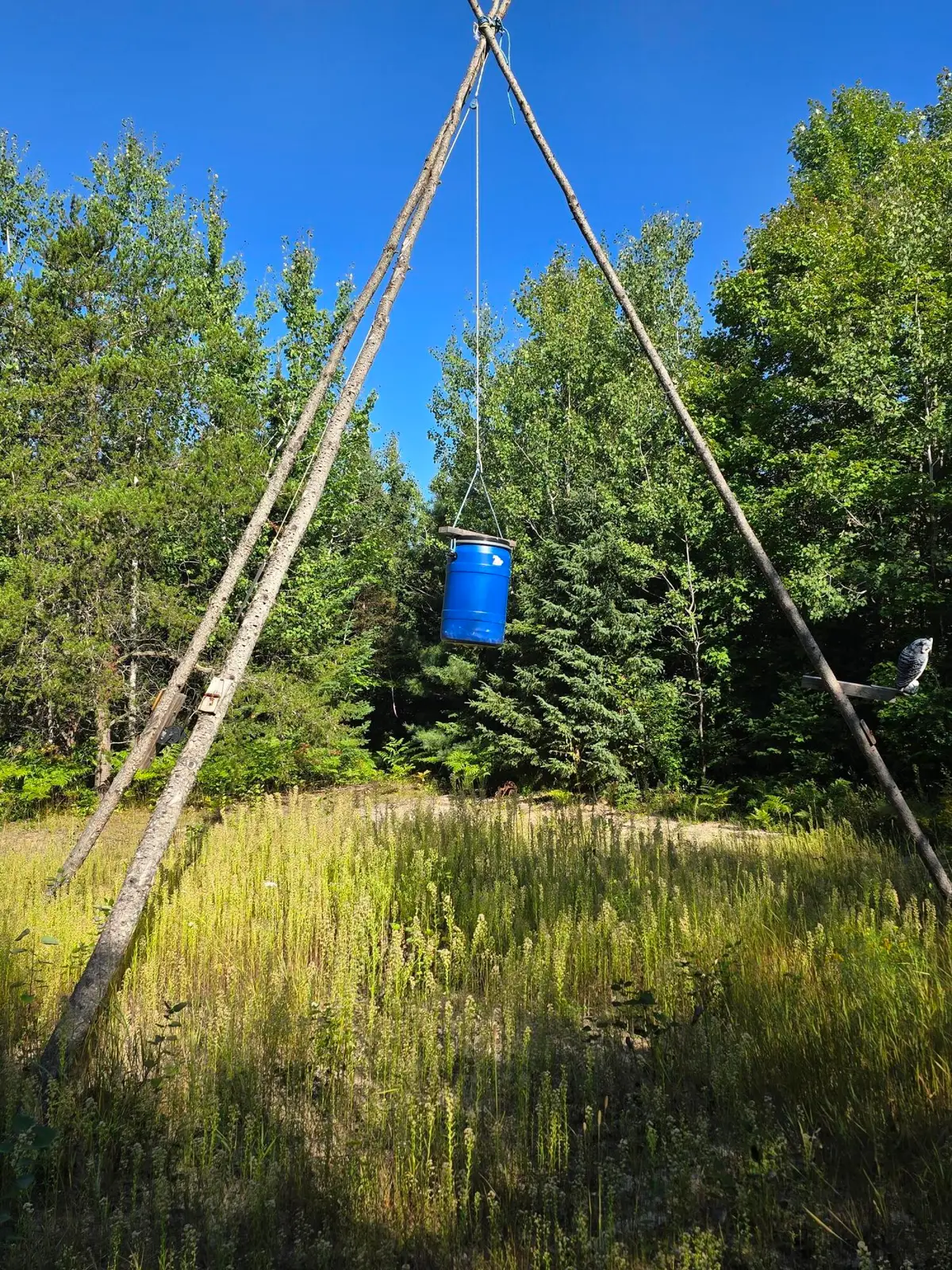 Lot 3 & 4 Huckleberry Road, Trout Lake, MI 49793 - #1