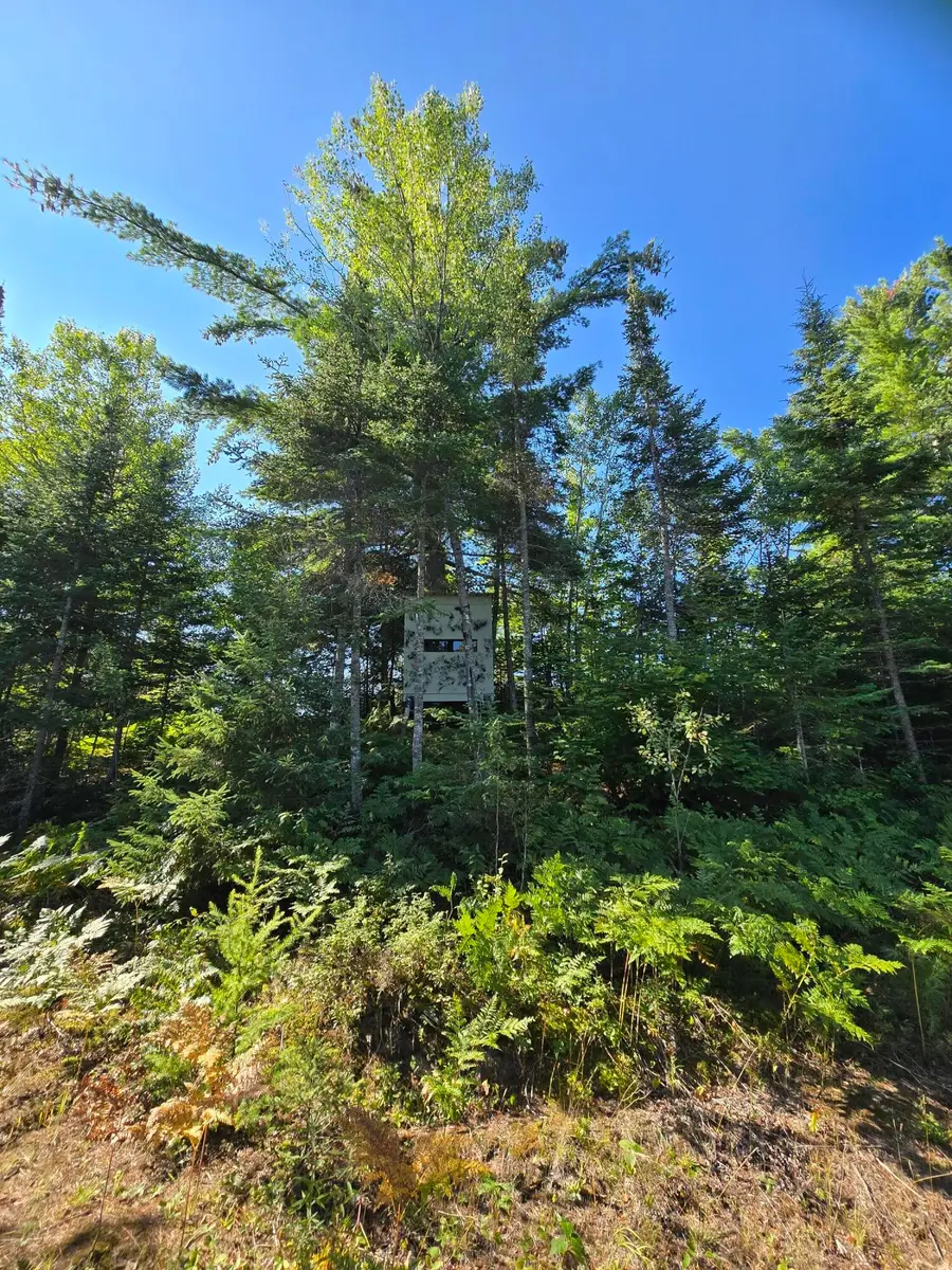 Lot 3 & 4 Huckleberry Road, Trout Lake, MI 49793 - #2
