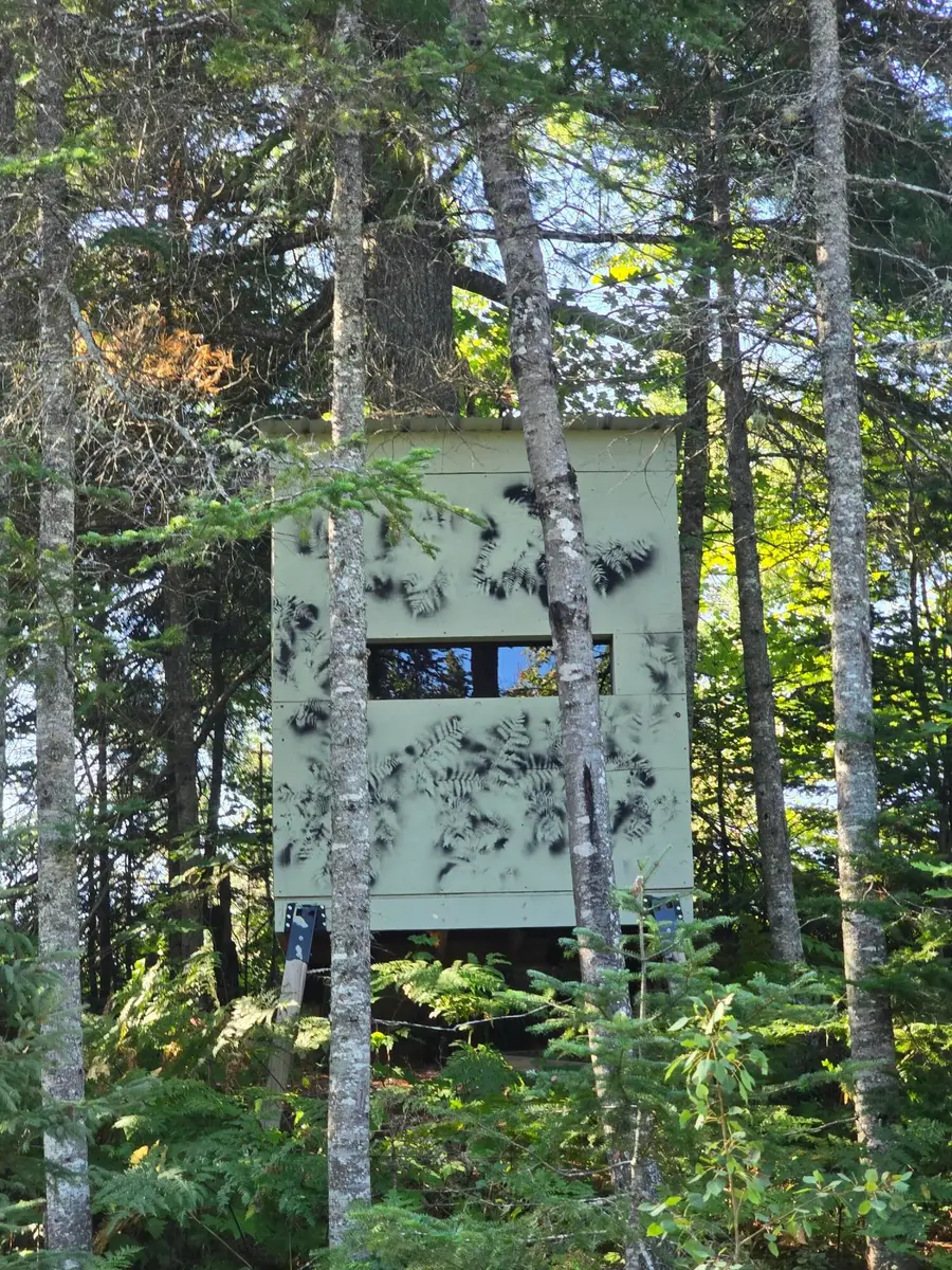 Lot 3 & 4 Huckleberry Road, Trout Lake, MI 49793 - #3