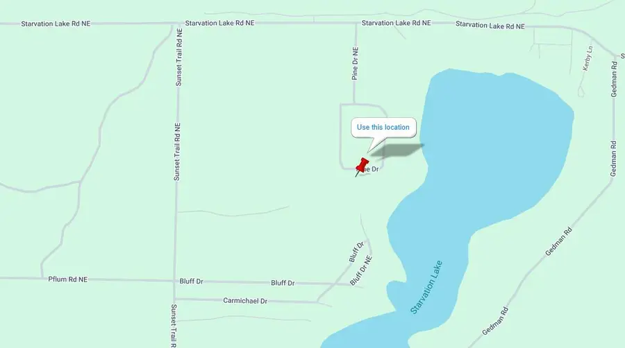 9168 Pine Drive, Mancelona, MI 49659 - #2