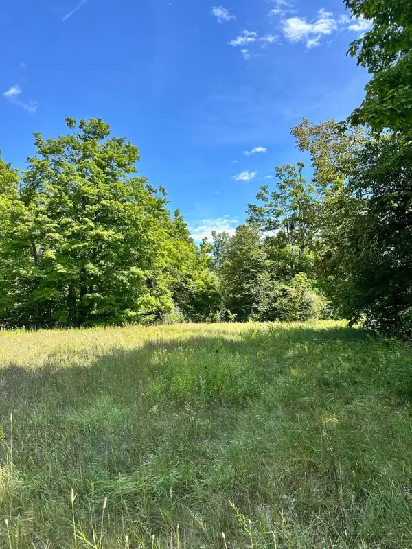 V/L Tank Trail, Johannesburg, MI 49751