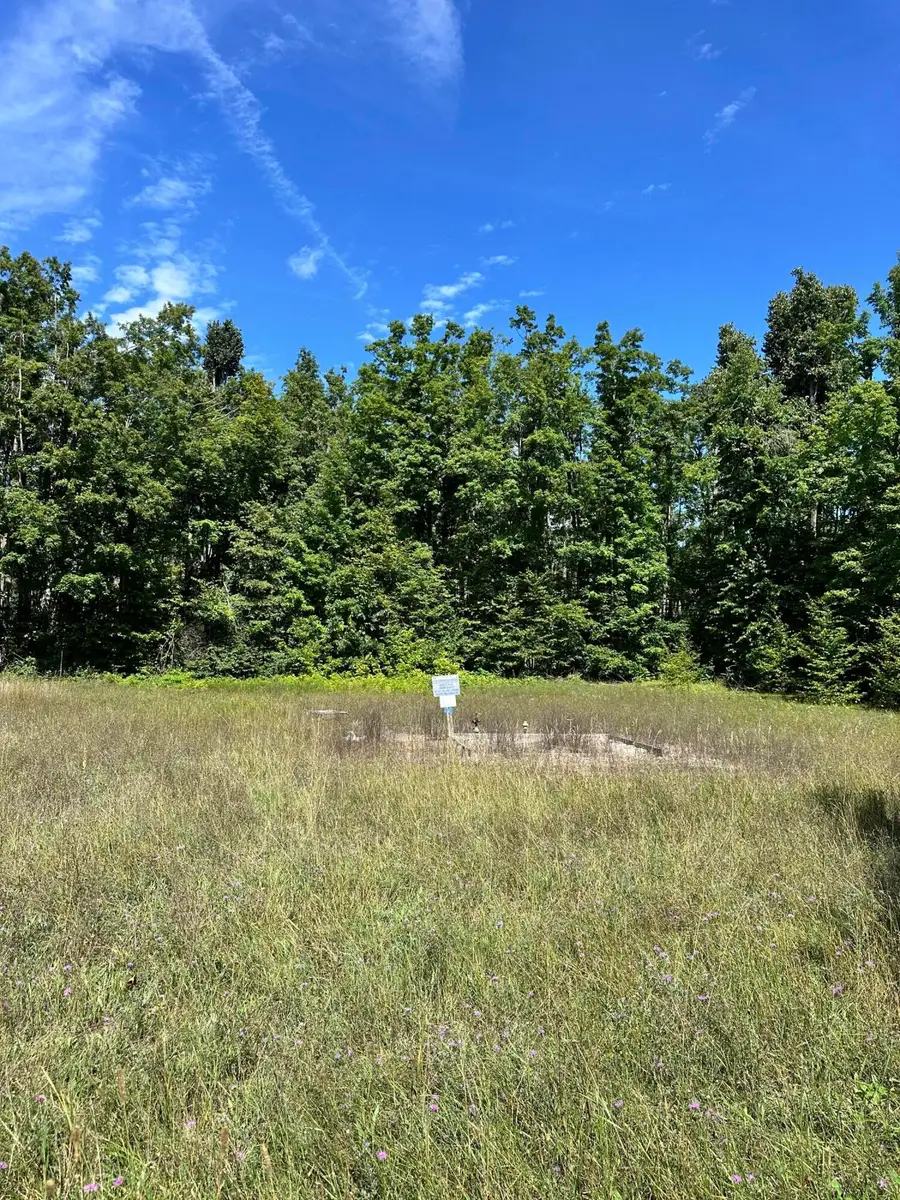 V/L Tank Trail, Johannesburg, MI 49751 - #3