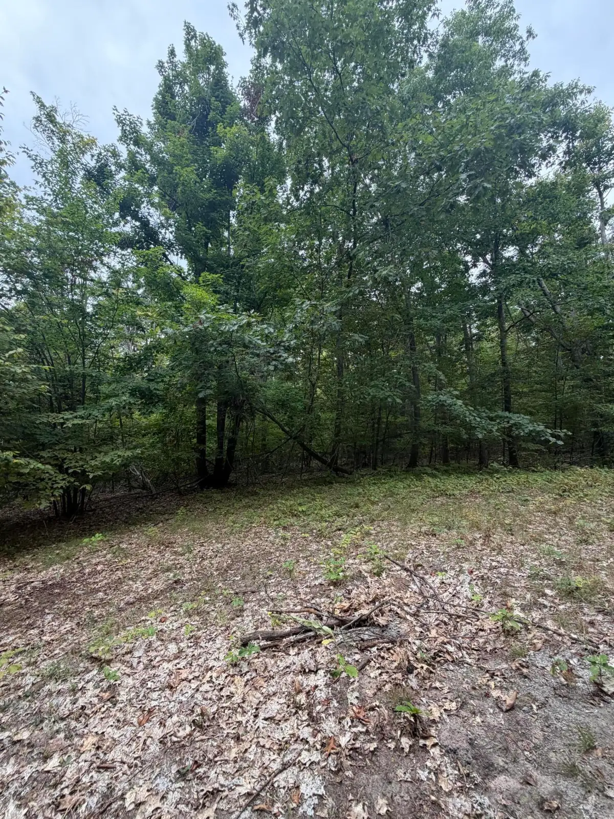 V/L 10AC Oakhaven Drive, Afton, MI 49705 - #1