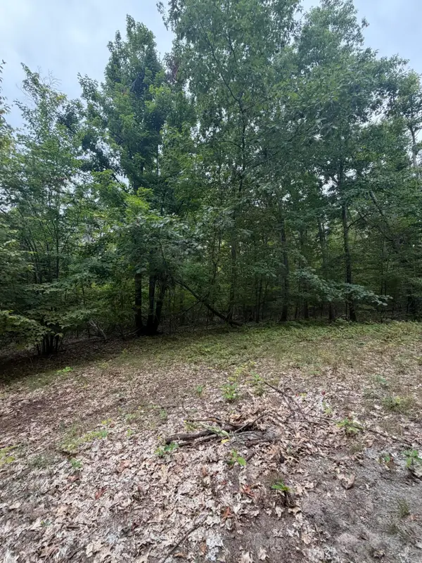 V/L 10AC Oakhaven Drive, Afton, MI 49705