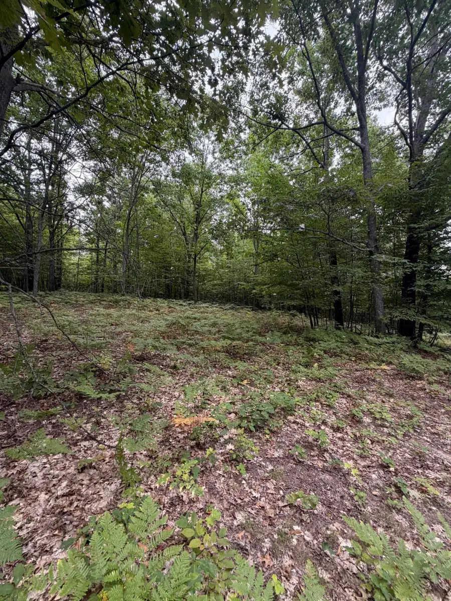 V/L 10AC Oakhaven Drive, Afton, MI 49705 - #3
