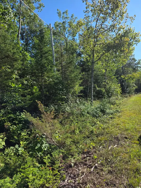261 Pineview Drive, Presque Isle, MI 49777