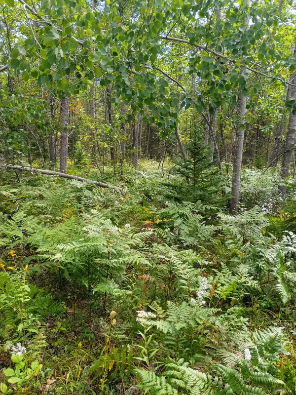 V/L 6.12AC W Long Lake Road, Alpena, MI 49707