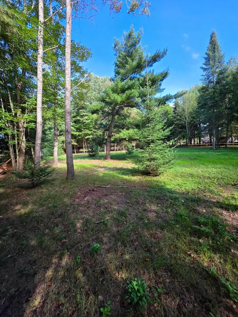 LOTS 24/25 W. Airport Rd, Saint Helen, MI 48656 - #3