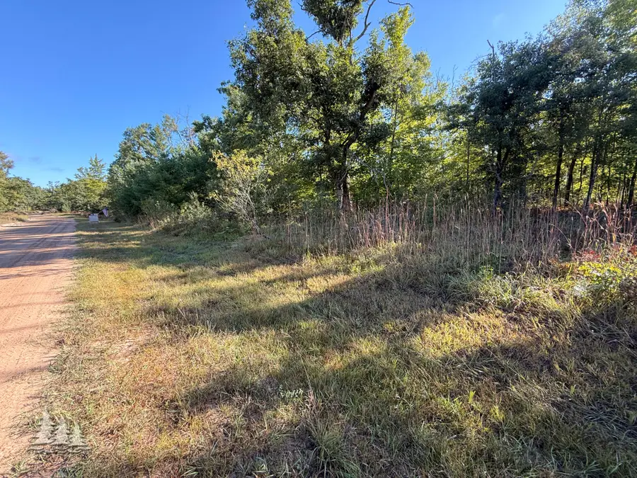 5954 Neumann Road, Lewiston, MI 49756 - #3