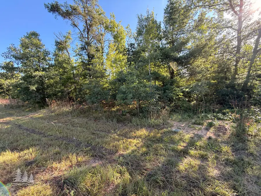 5944/5954 Neumann, Lewiston, MI 49756 - #3