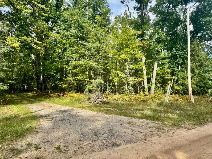 5327 Tote Road, Comins, MI 48619 - #3