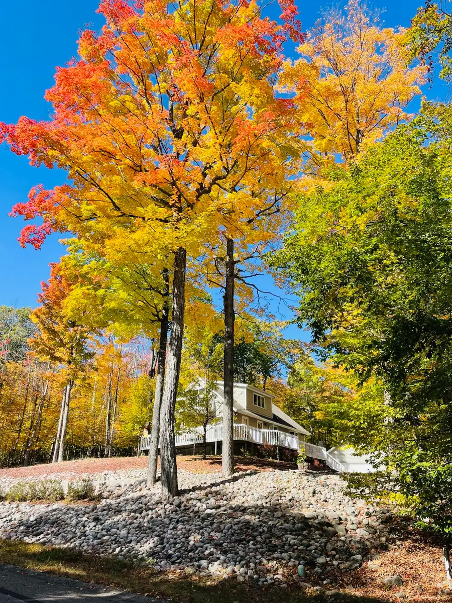 738 Timber Valley Road, Gaylord, MI 49735 - #2
