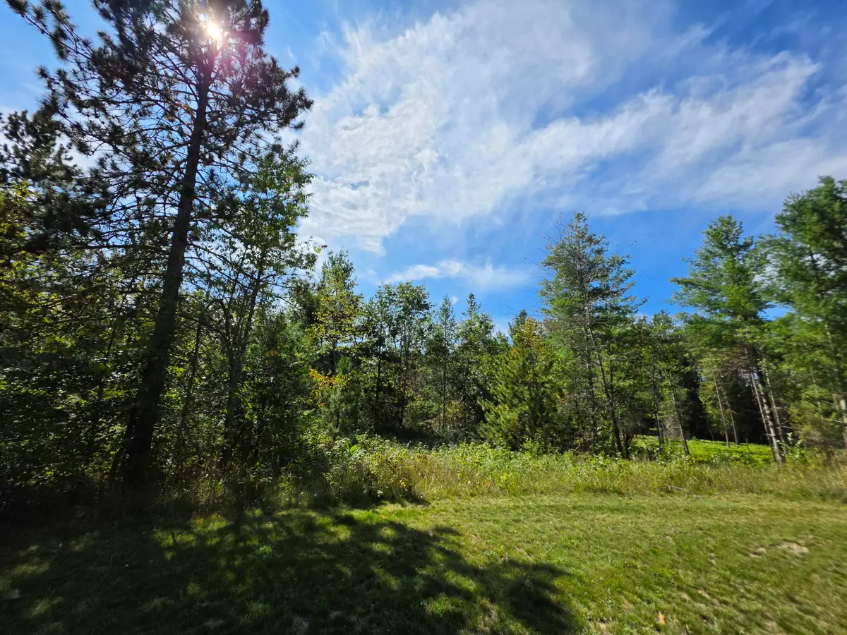V/L 5 AC Robin Hood Drive, Fairview, MI 48621 - #1
