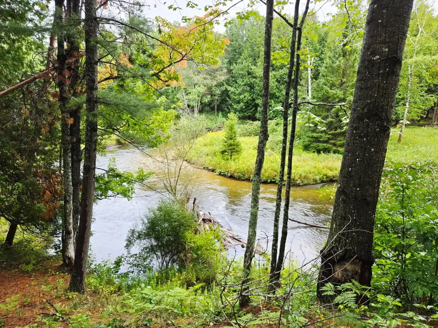 7693 S Straits Highway, Indian River, MI 49749 - #2