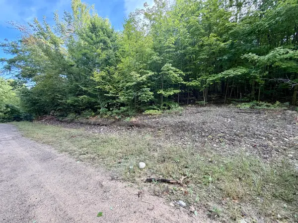 5.6 Acres Deerfield Trail, Boyne Falls, MI 49713