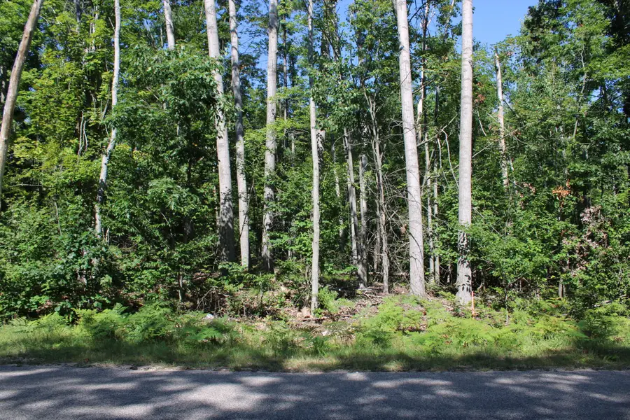 11228 Fascination Drive, Frederic, MI 49733 - #3