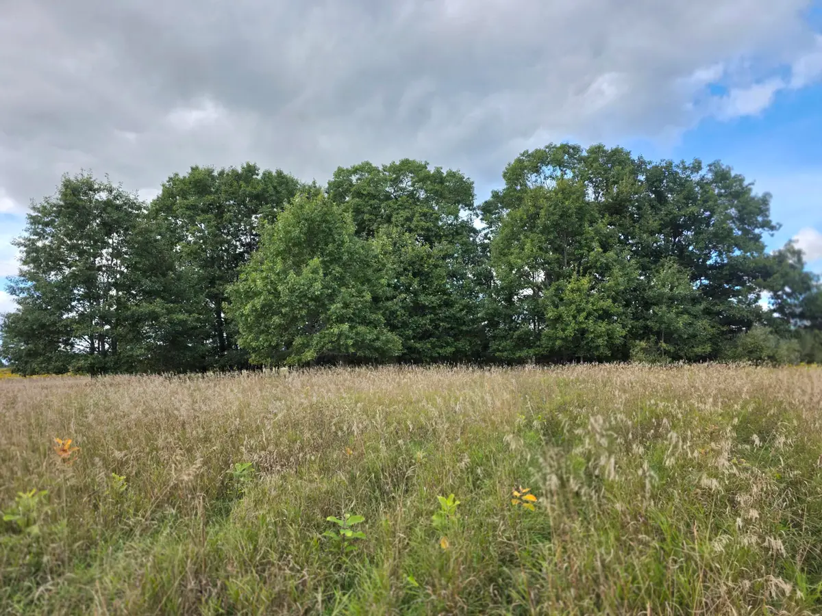 V/L S Barlow Road, Harrisville, MI 48740 - #1