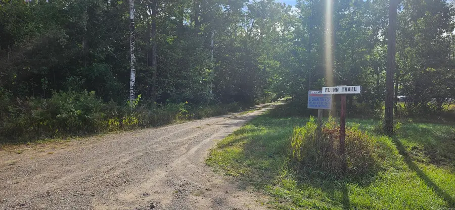 11900 Five Point Trail, Johannesburg, MI 49751 - #3