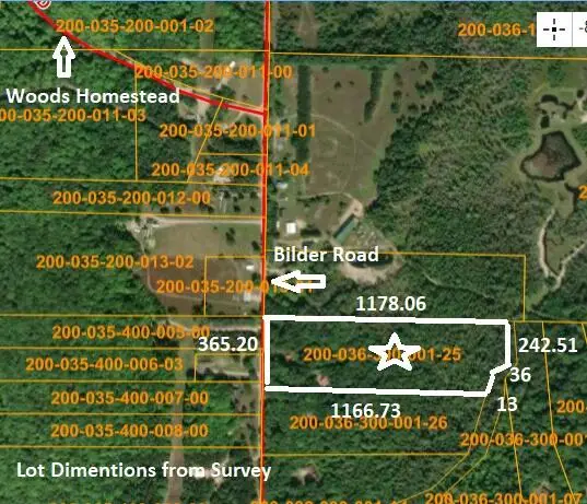 11449 Bilder Road, Wolverine, MI 49799 - #1