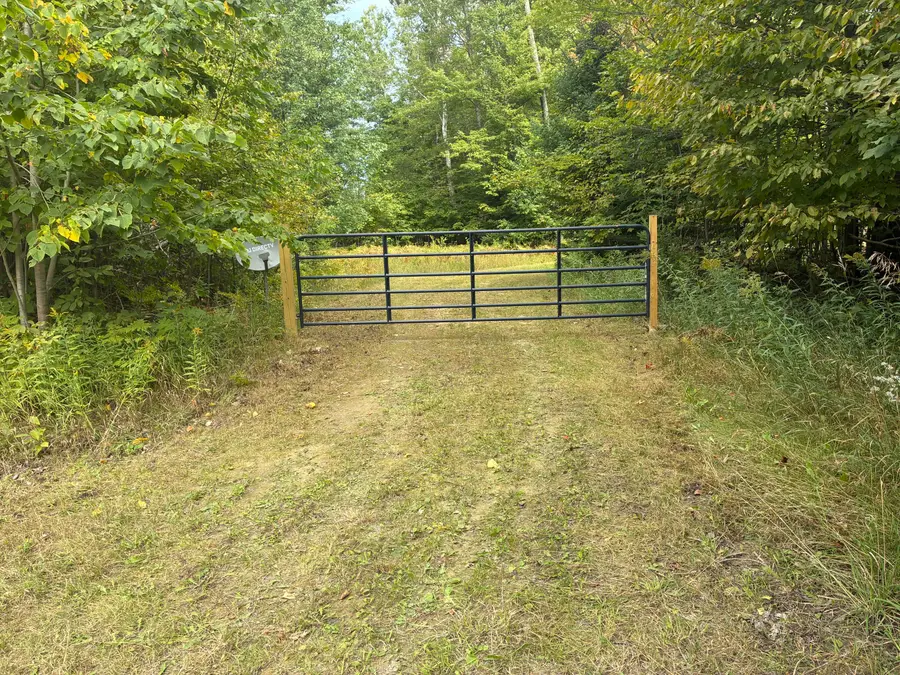 11449 Bilder Road, Wolverine, MI 49799 - #3