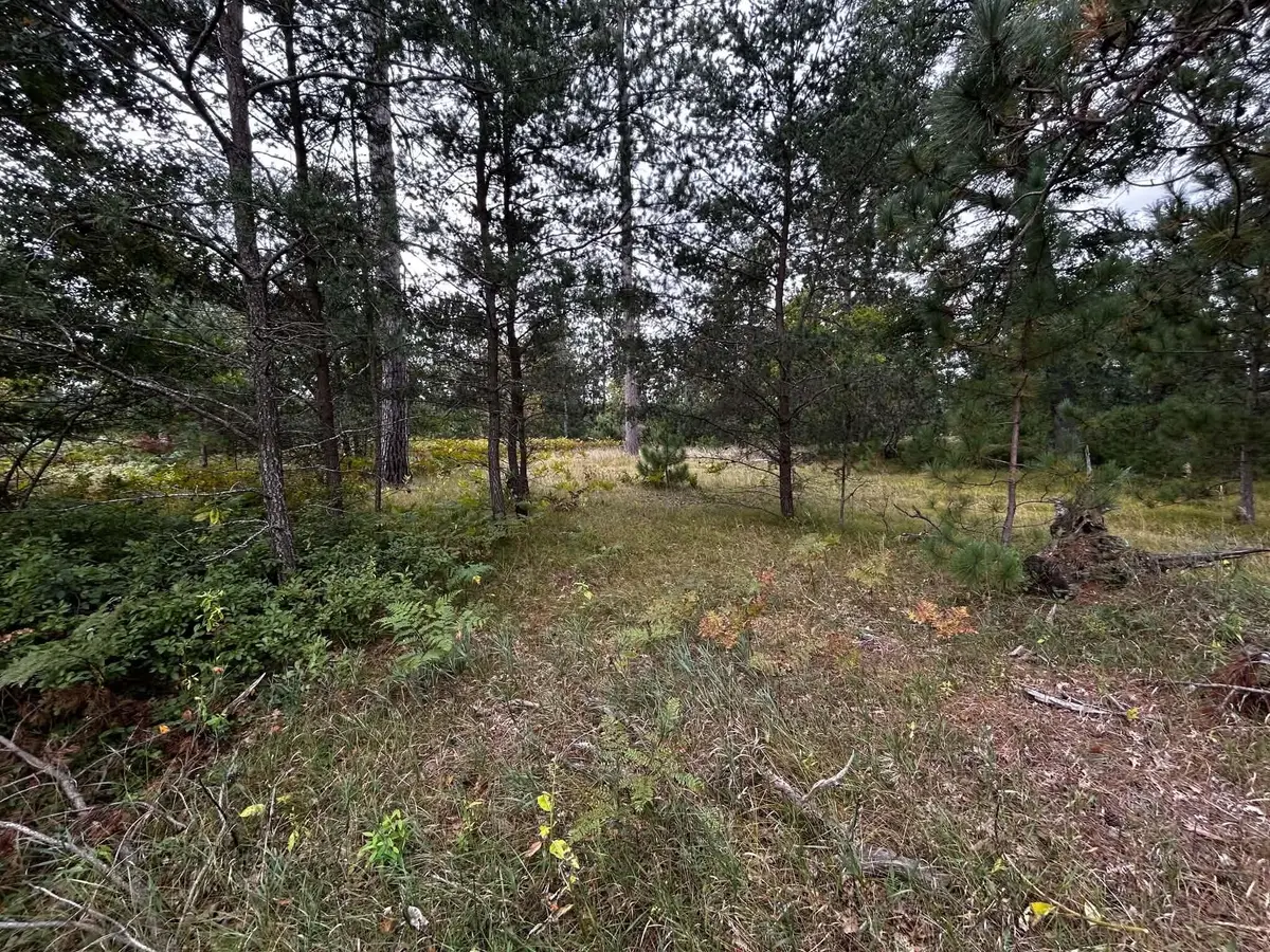 V/L E Hughes Lake Road, Rose City, MI 48654 - #1