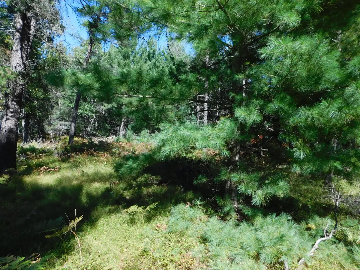 V/L 3 AC Wakeley Bridge Road, Grayling, MI 49738 - #1