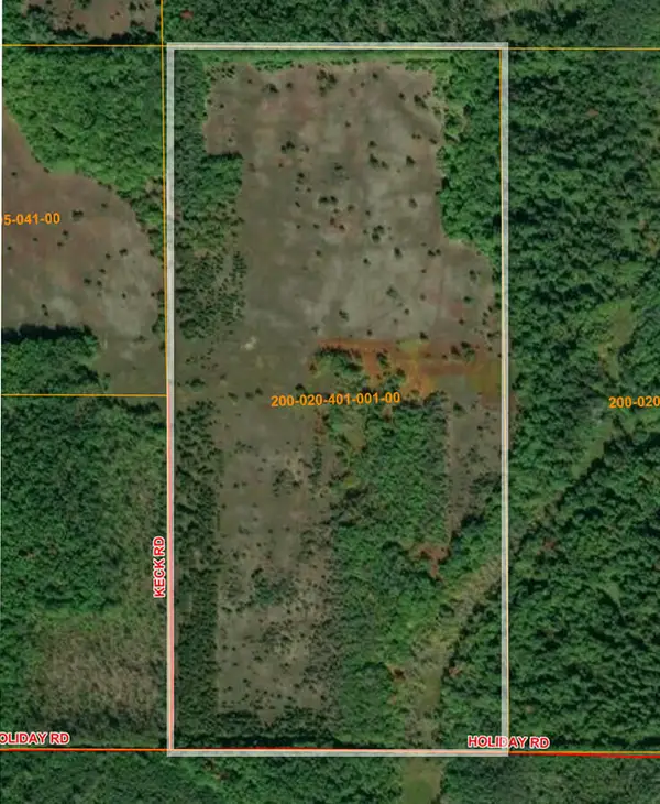 V/L 80AC Holiday Road, Wolverine, MI 49799
