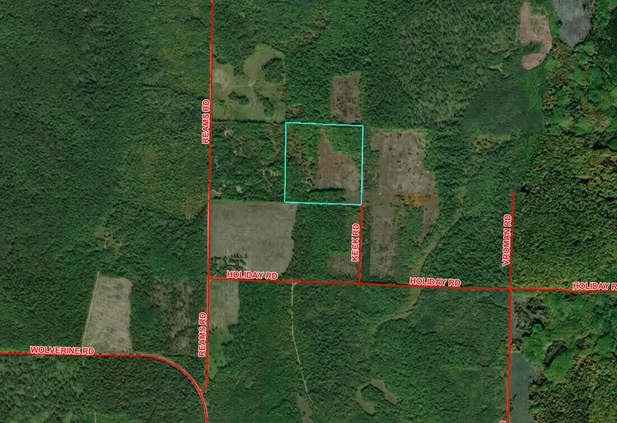 V/L 40AC Keck Road, Wolverine, MI 49799 - #2
