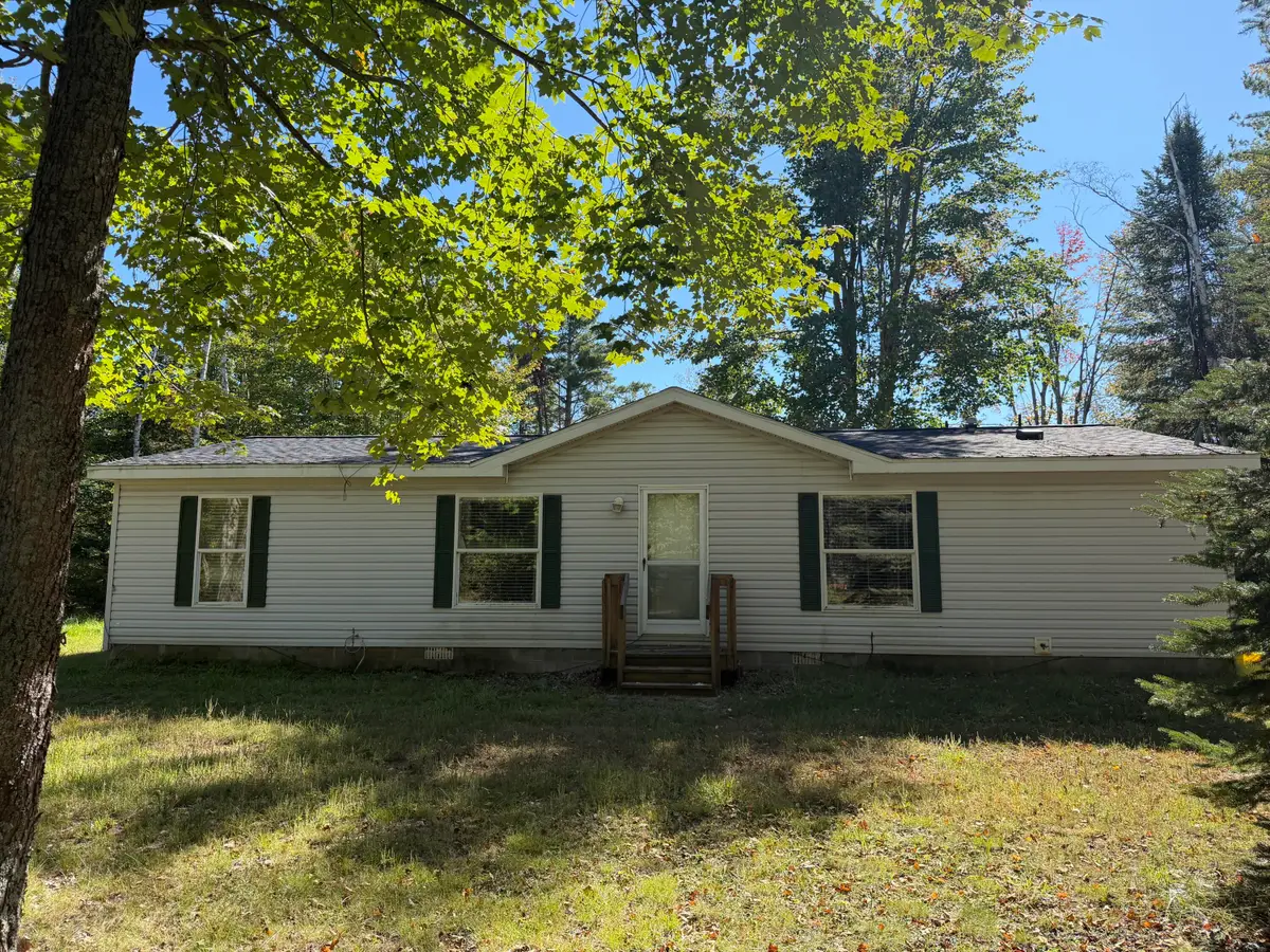 845 Badgley Road, Vanderbilt, MI 49795 - #1