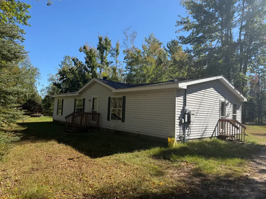 845 Badgley Road, Vanderbilt, MI 49795 - #2