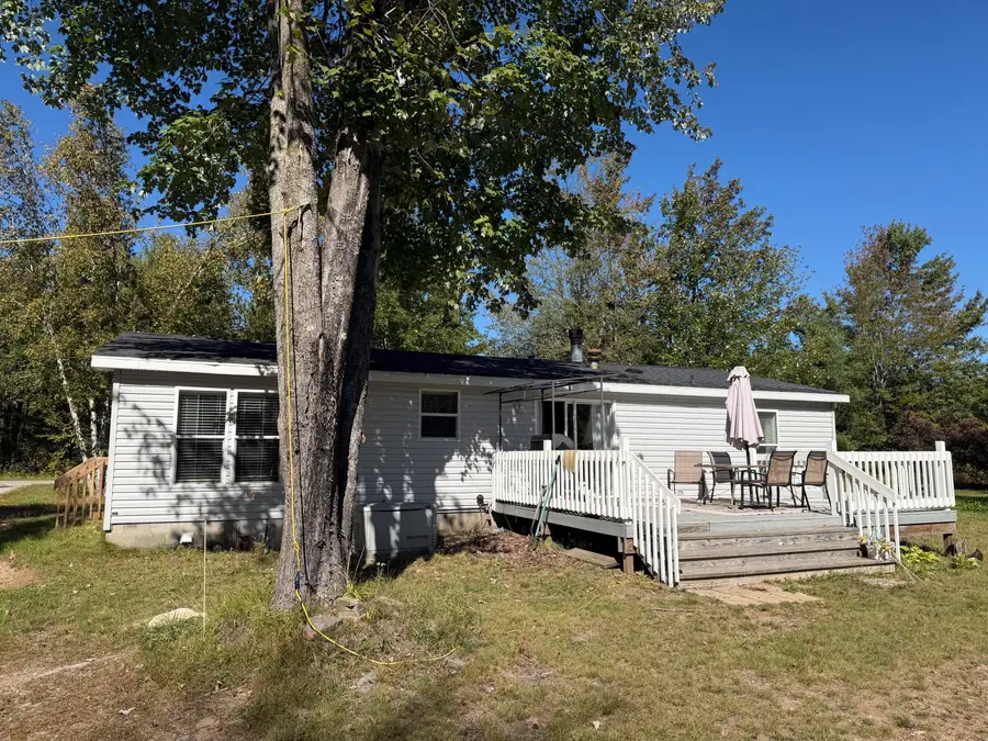 845 Badgley Road, Vanderbilt, MI 49795 - #3