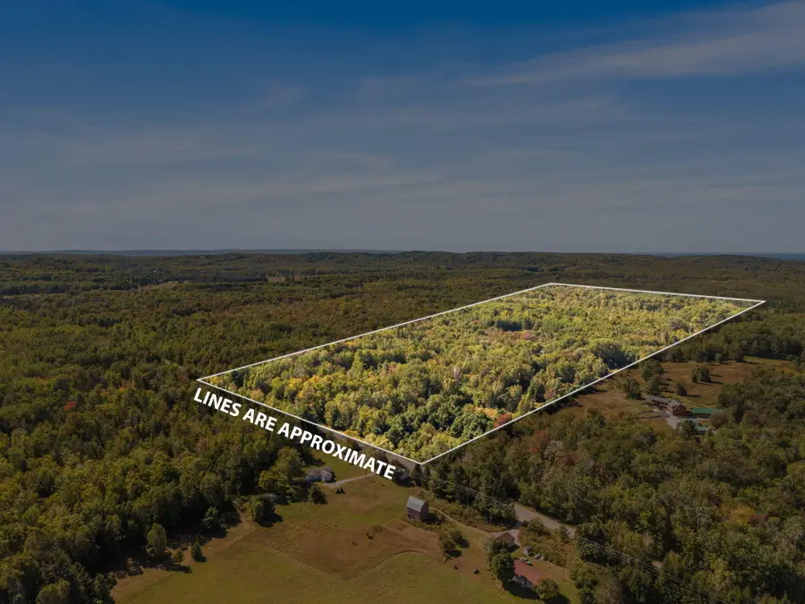 2263 Elder Road, Carp Lake, MI 49718 - #3