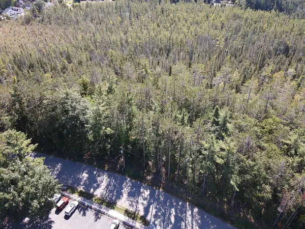 V/L Chippewa Beach Road, Indian River, MI 49749