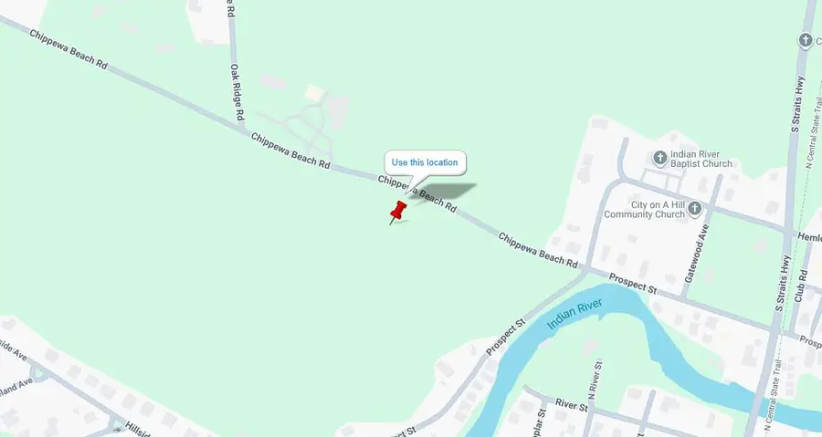 V/L Chippewa Beach Road, Indian River, MI 49749 - #2
