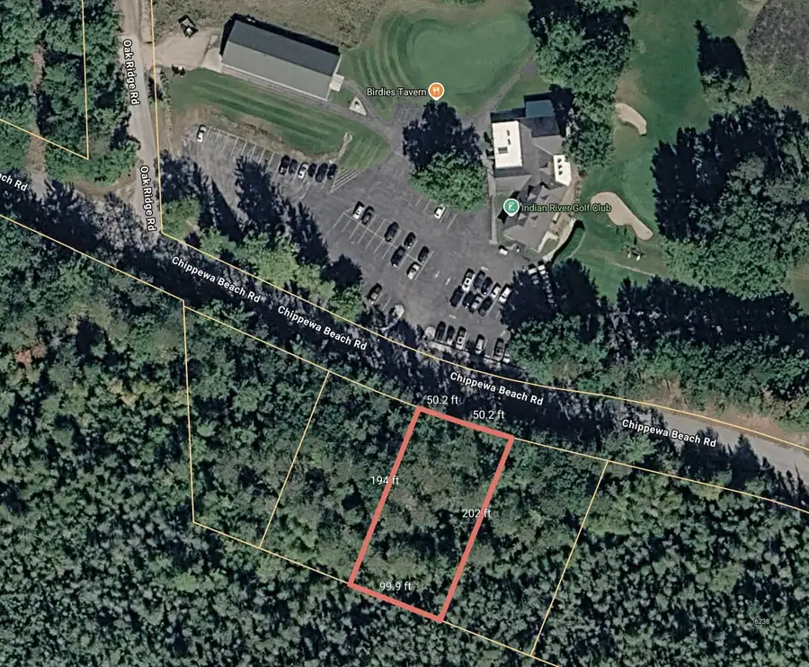 V/L Chippewa Beach Road, Indian River, MI 49749 - #3