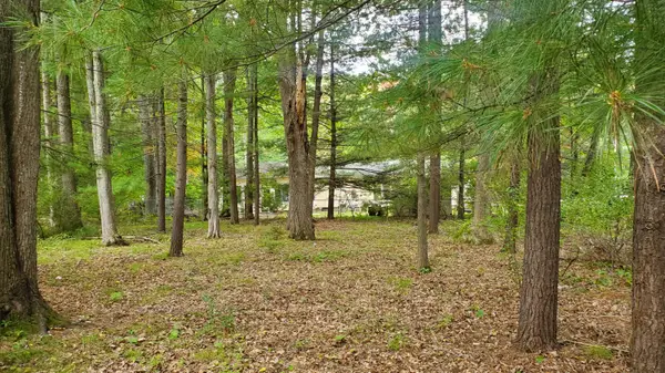 V/L Oakwood Avenue, Prudenville, MI 48651