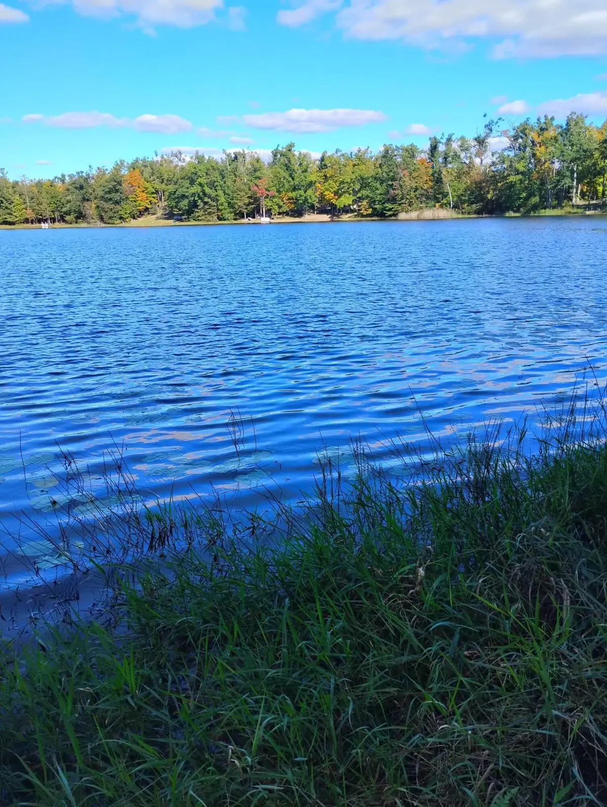 14006 Chippewa Trail, Johannesburg, MI 49751 - #1