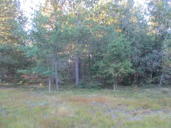 1540 S Stephan Bridge Road, Grayling, MI 49738