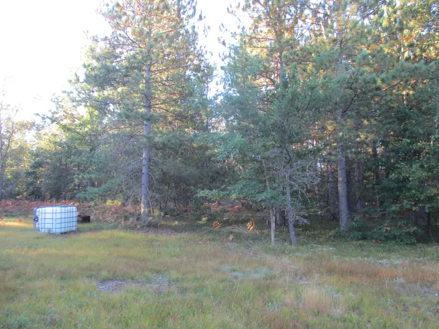 1540 S Stephan Bridge Road, Grayling, MI 49738 - #3
