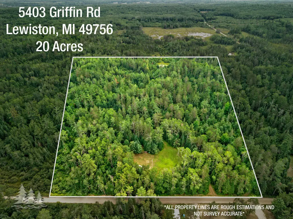 5403 Griffin Road, Lewiston, MI 49756 - #1
