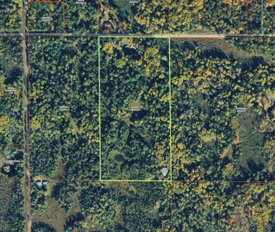 5403 Griffin Road, Lewiston, MI 49756 - #2