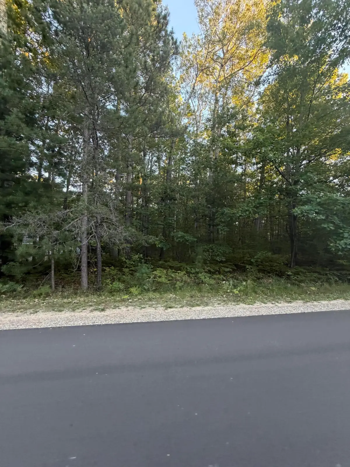 1350 N St Helen Road, Saint Helen, MI 48656 - #1
