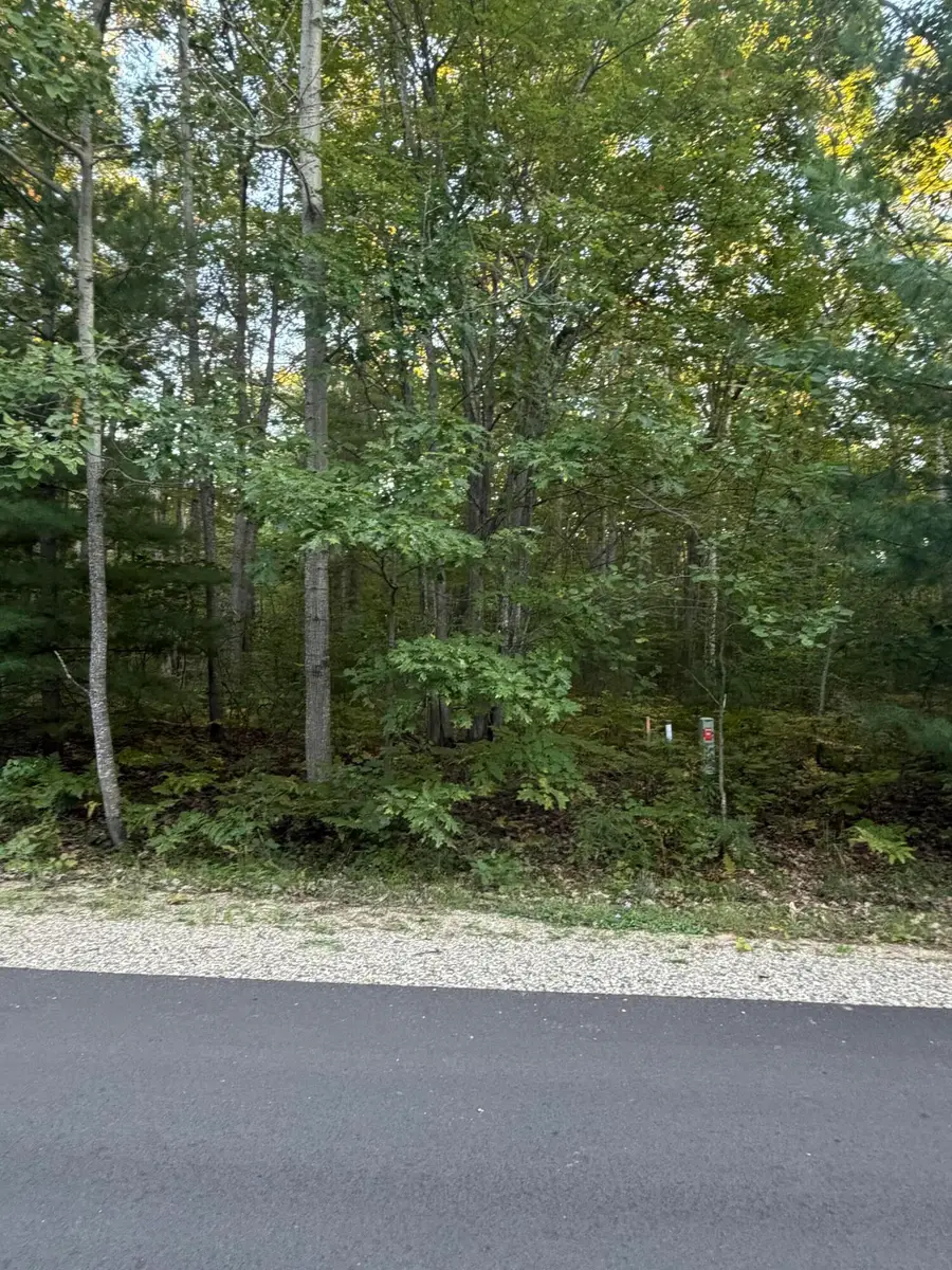 1350 N St Helen Road, Saint Helen, MI 48656 - #3