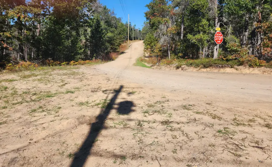 Rustic Lane, Grayling, MI 49738 - #3
