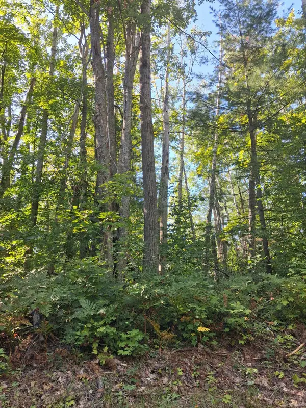 V/L .52AC Cree Trail, Gaylord, MI 49735