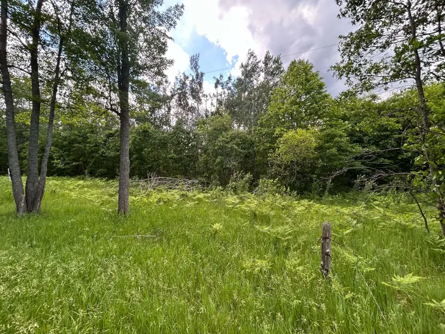 V/L 20AC Weaver Road, Comins, MI 48619 - #3