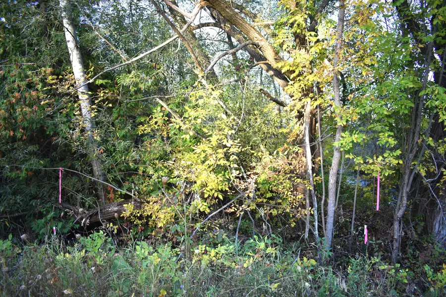 V/L 20.9AC Butler Road, Cheboygan, MI 49721 - #2