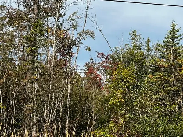 308 Geronimo Road, Alpena, MI 49707