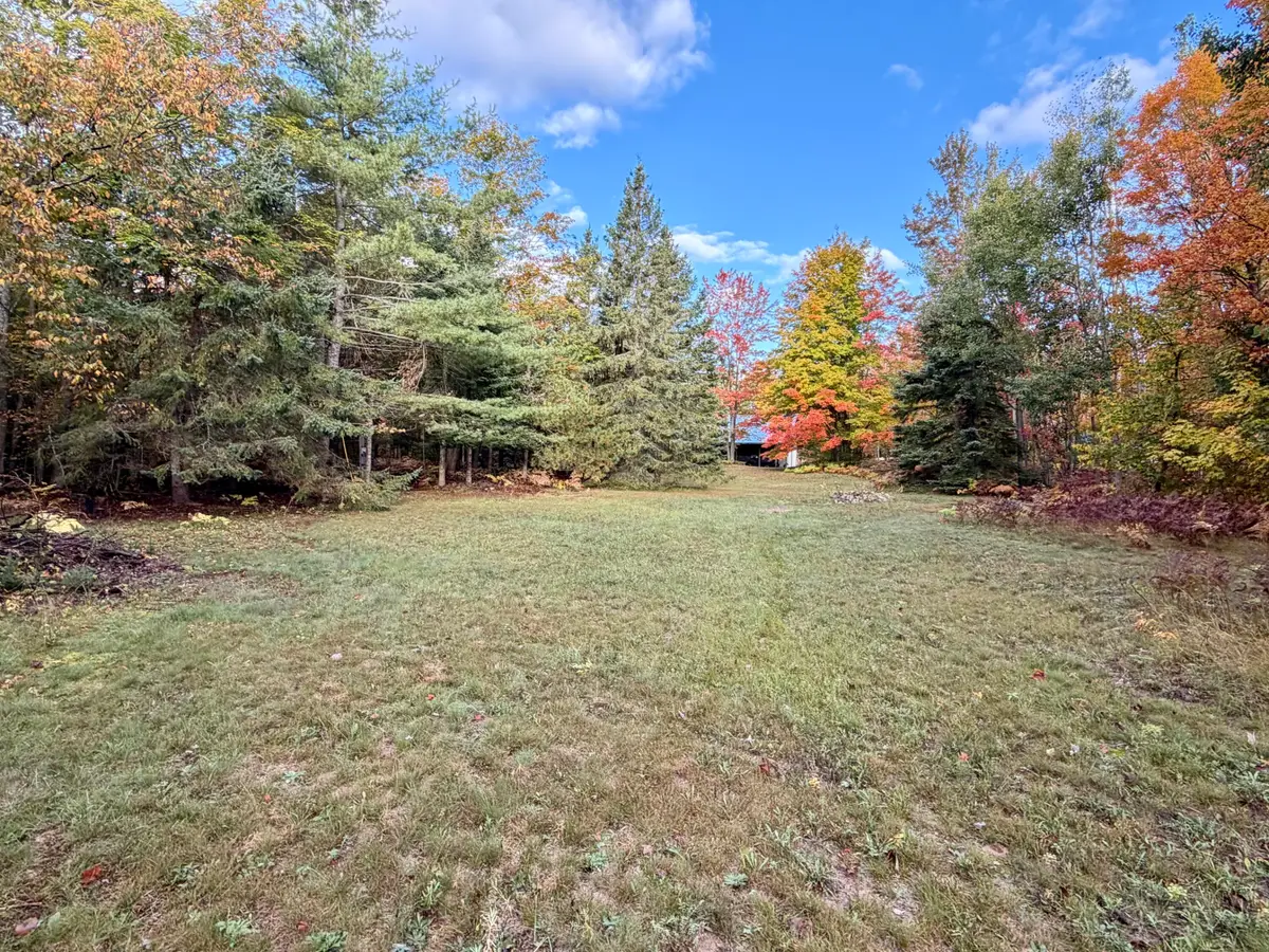 6267 Whitehouse Trail, Vanderbilt, MI 49795 - #1