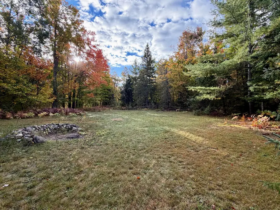 6267 Whitehouse Trail, Vanderbilt, MI 49795 - #3
